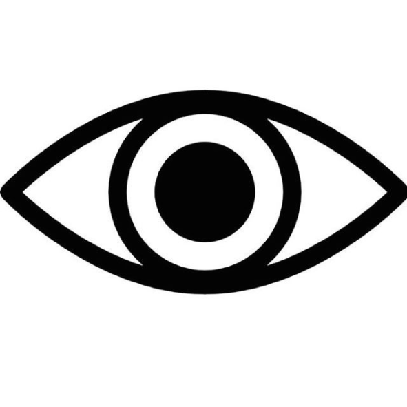 Vision Icon